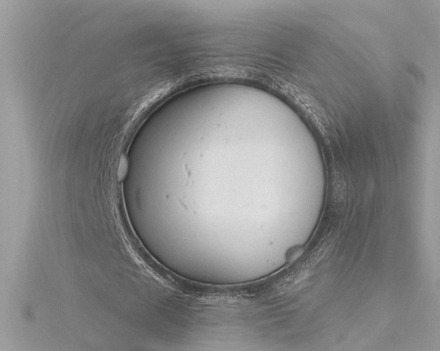 X0000116340625200912011350