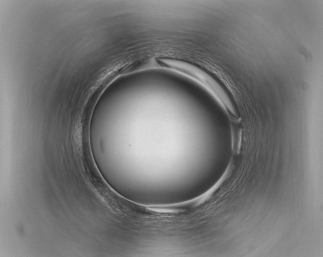 X0000116340626200912011350