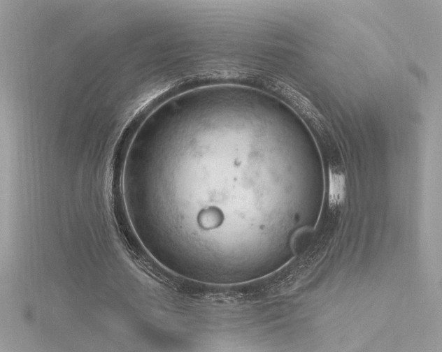 X0000116340627200912011350