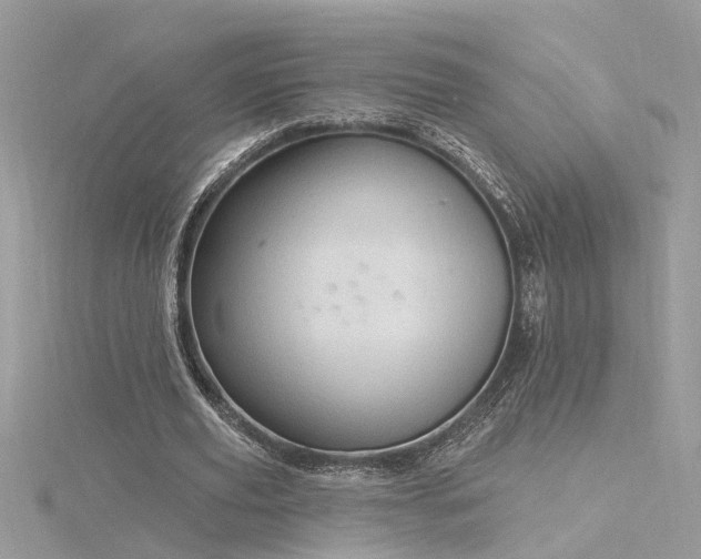 X0000116340629200912011350