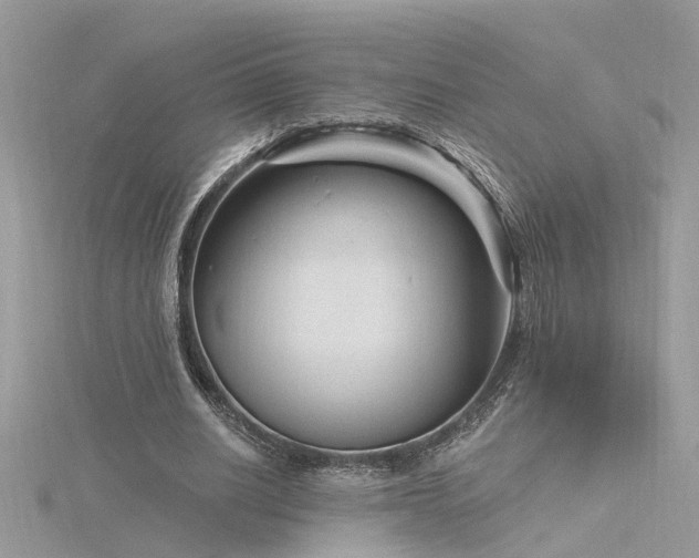 X0000116340630200912011350