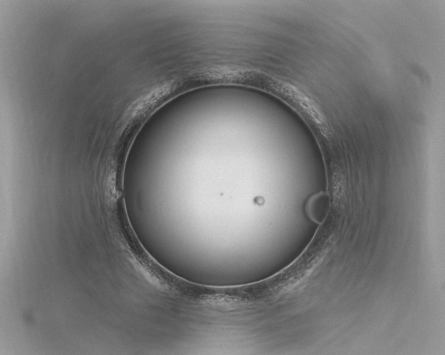 X0000116340633200912011350