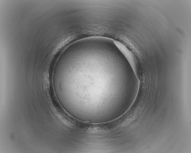 X0000116340634200912011350