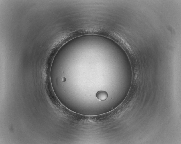 X0000116340635200912011350