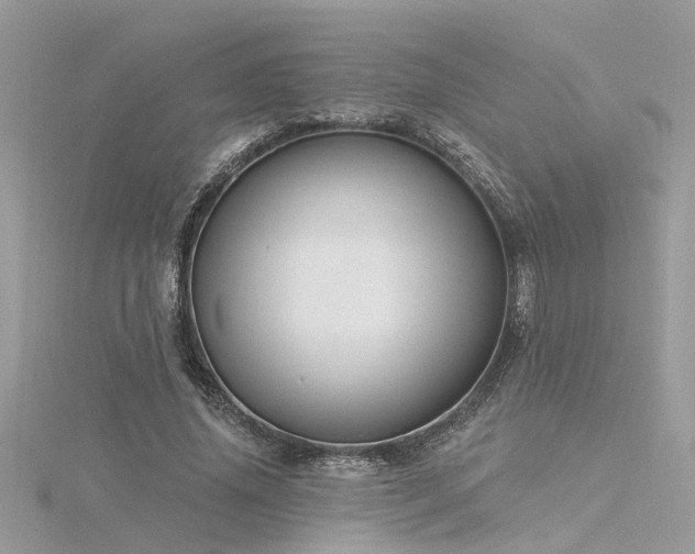 X0000116340636200912011350