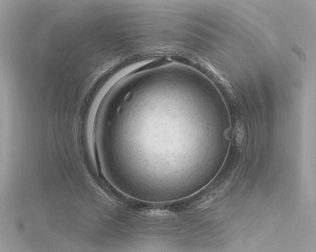 X0000116340637200912011350