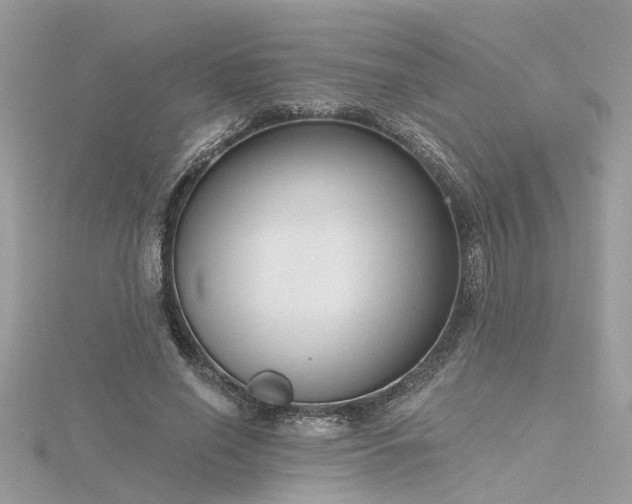 X0000116340638200912011350