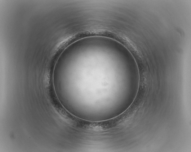 X0000116340640200912011350