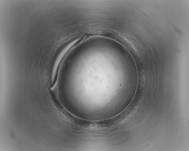 X0000116340641200912011350