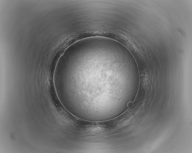 X0000116340643200912011350