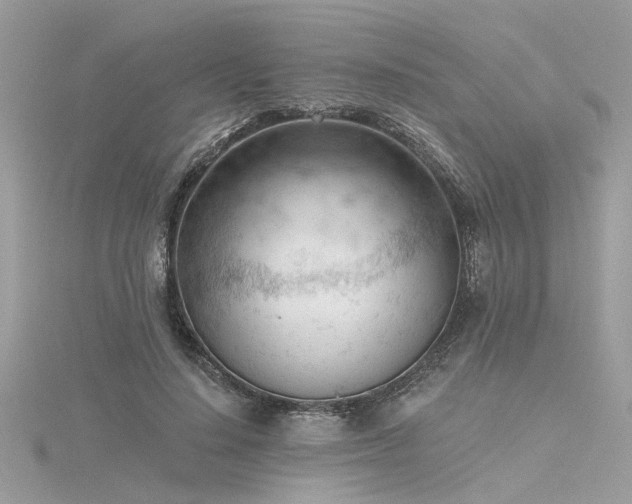 X0000116340644200912011350