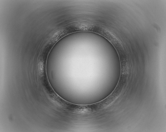 X0000116340646200912011350