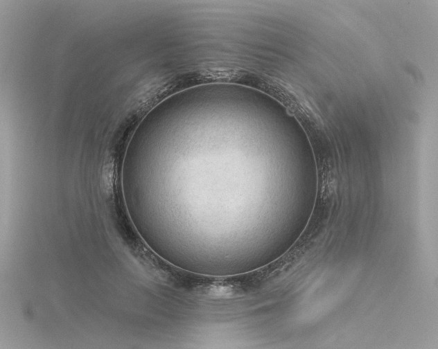 X0000116340647200912011350