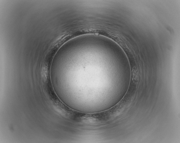 X0000116340648200912011350