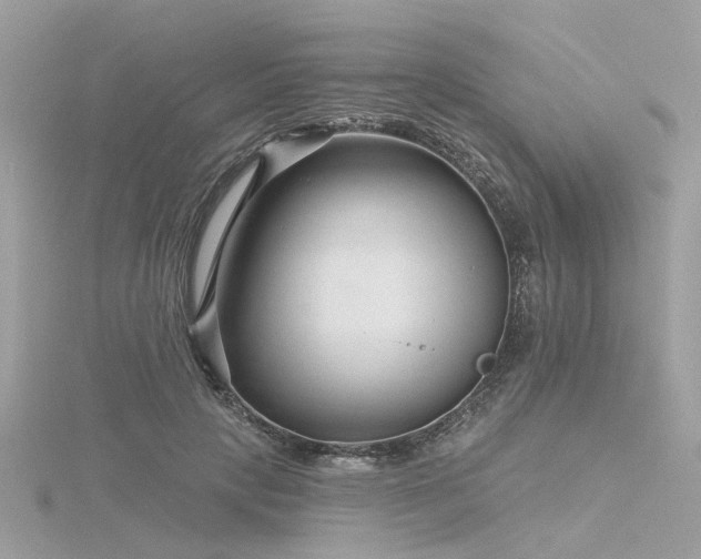 X0000116340649200912011350