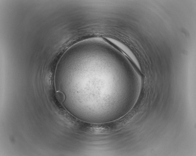 X0000116340650200912011350