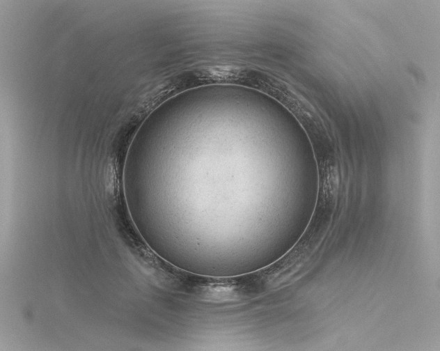 X0000116340651200912011350