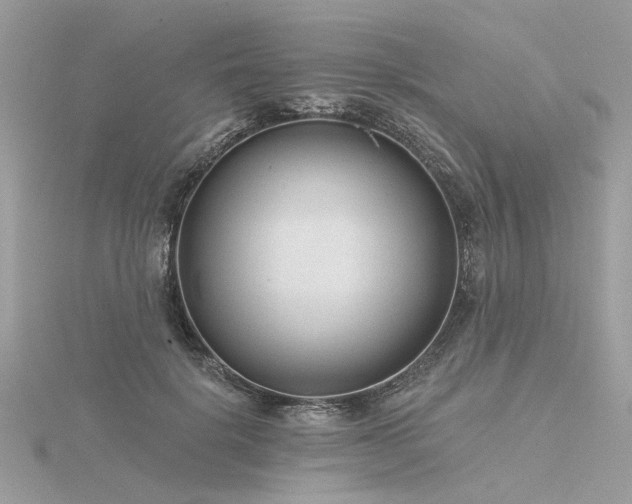 X0000116340652200912011350