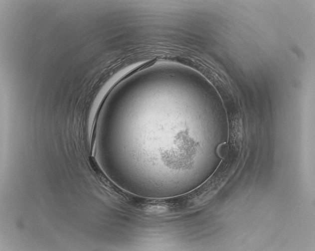 X0000116340653200912011350