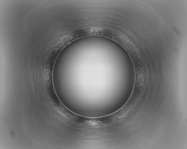 X0000116340654200912011350