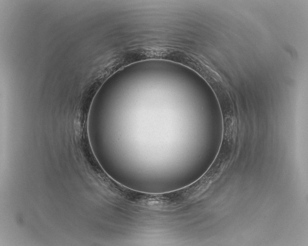 X0000116340655200912011350