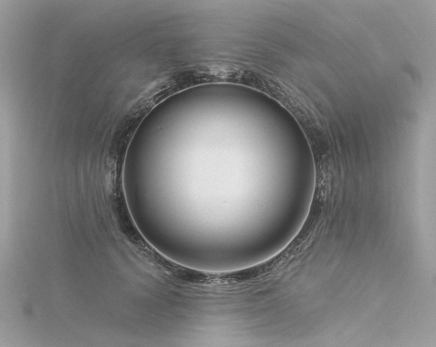 X0000116340656200912011350