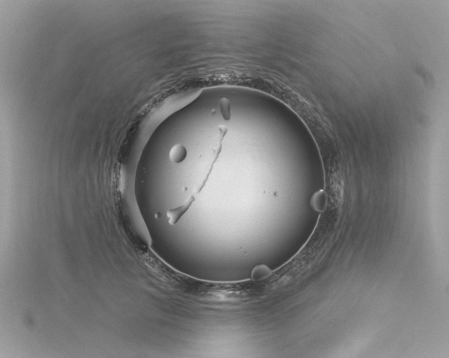 X0000116340657200912011350