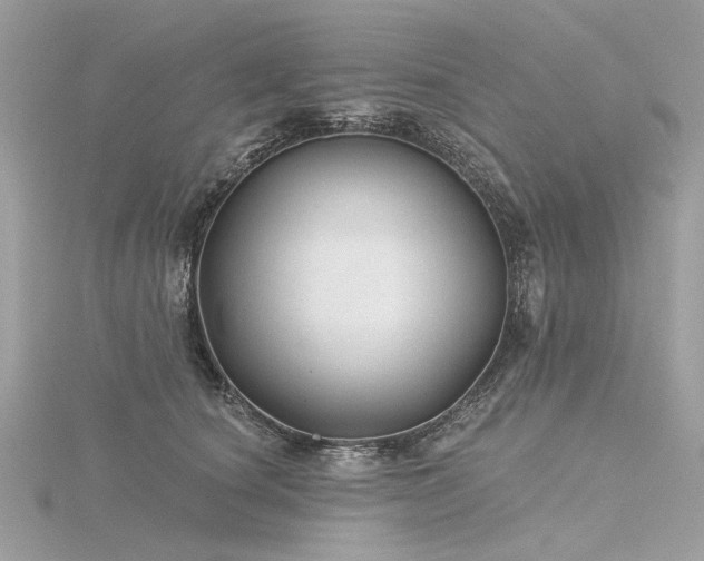 X0000116340660200912011351