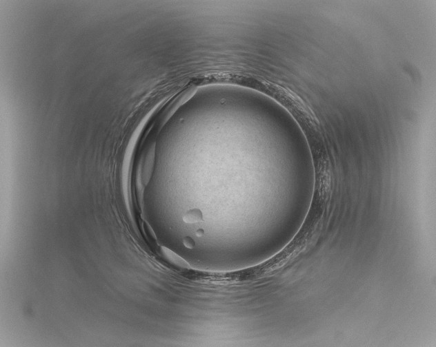 X0000116340661200912011351