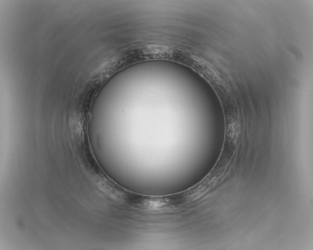 X0000116340662200912011351