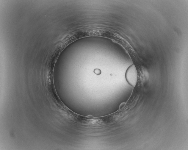 X0000116340663200912011351