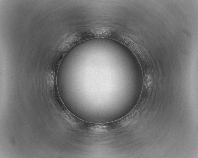 X0000116340664200912011351