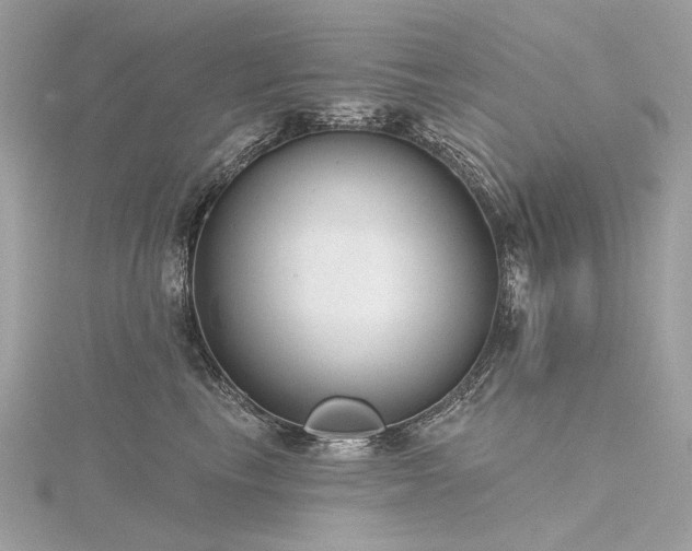 X0000116340665200912011351