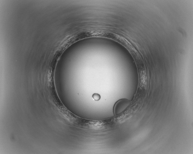 X0000116340667200912011351