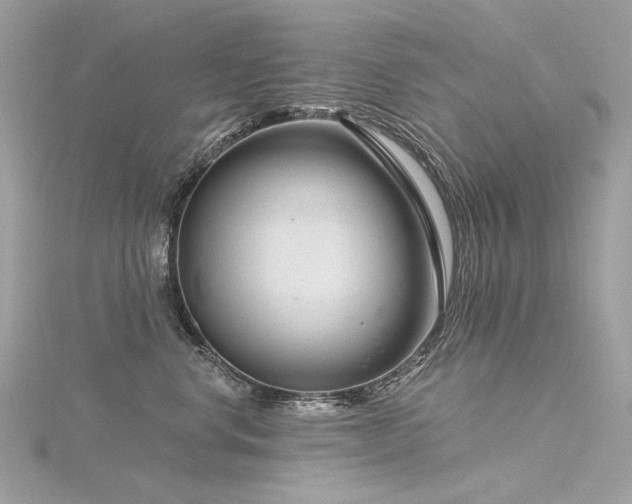 X0000116340668200912011351