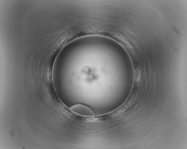 X0000116340669200912011351