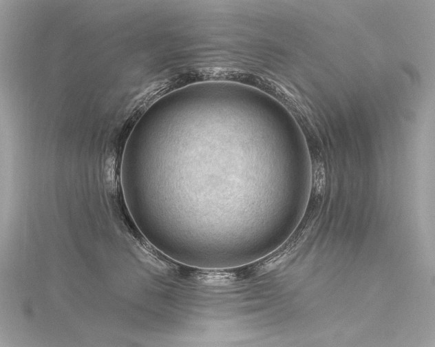 X0000116340670200912011351