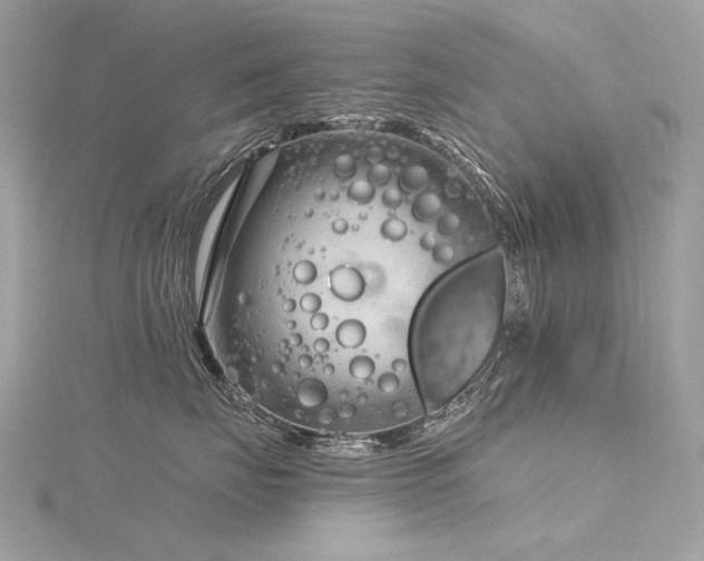 X0000116340671200912011351