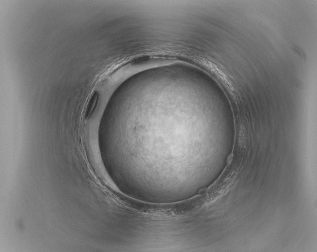 X0000116340673200912011350