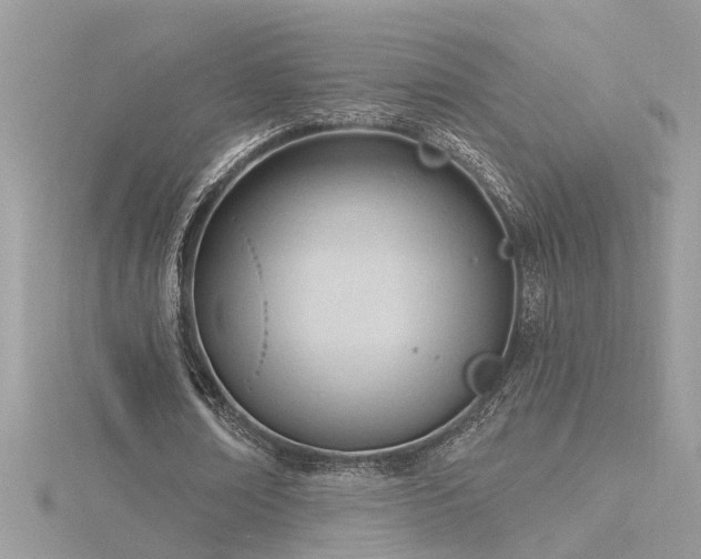 X0000116340674200912011350