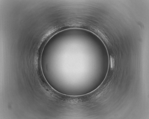 X0000116340675200912011350