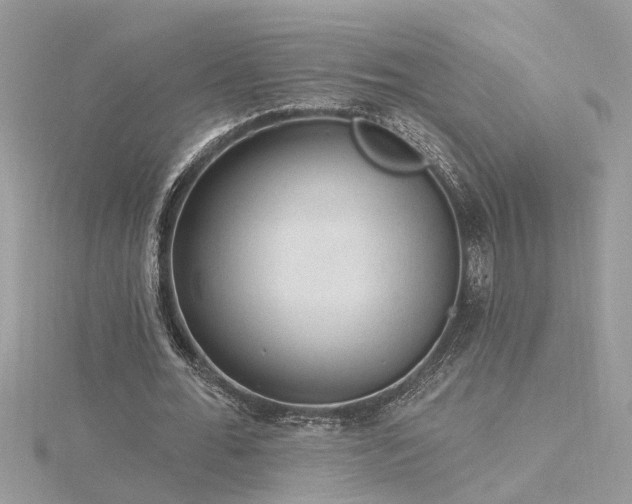 X0000116340676200912011350