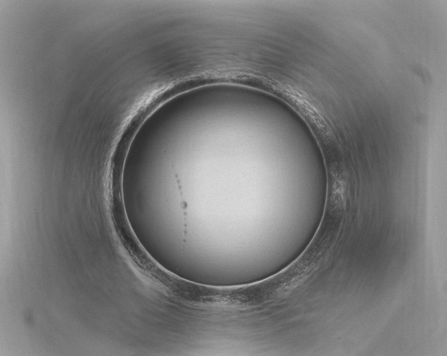 X0000116340678200912011350