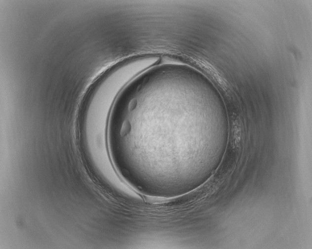 X0000116340680200912011350