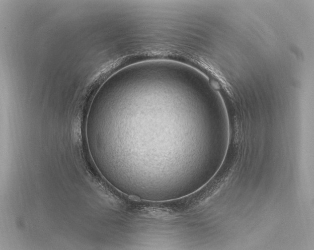 X0000116340681200912011350