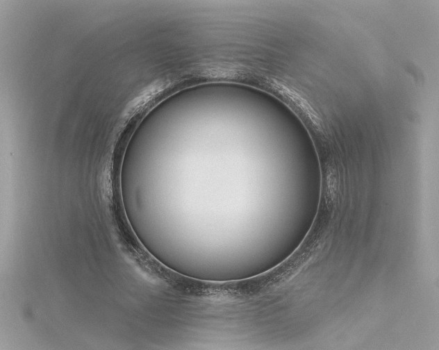 X0000116340682200912011350