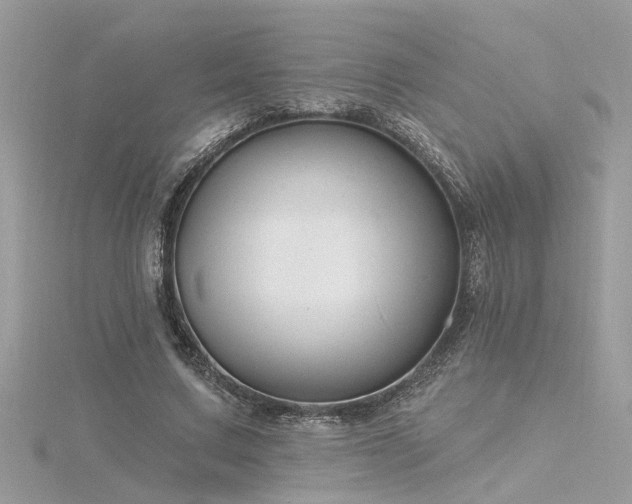 X0000116340683200912011350