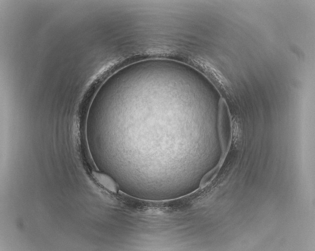 X0000116340684200912011350