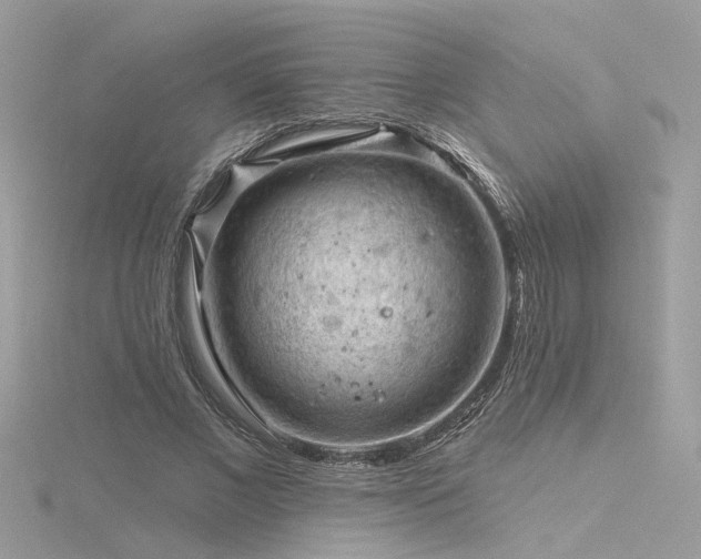 X0000116340685200912011350