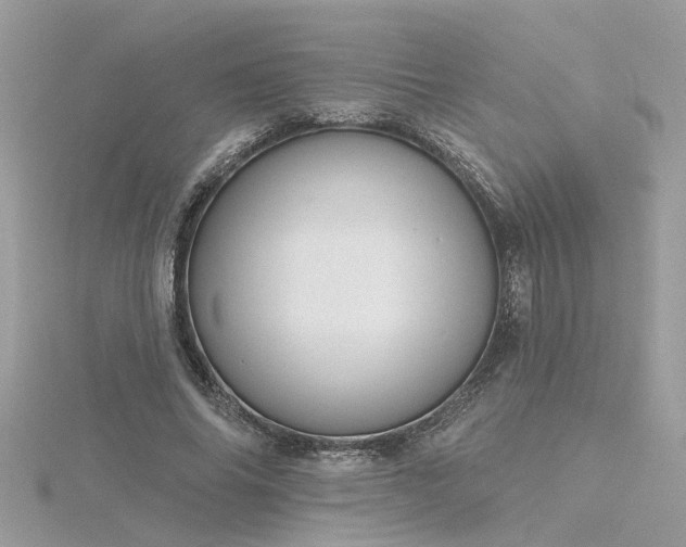 X0000116340686200912011350